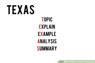 Image titled Write a Texas structure Essay Step 1